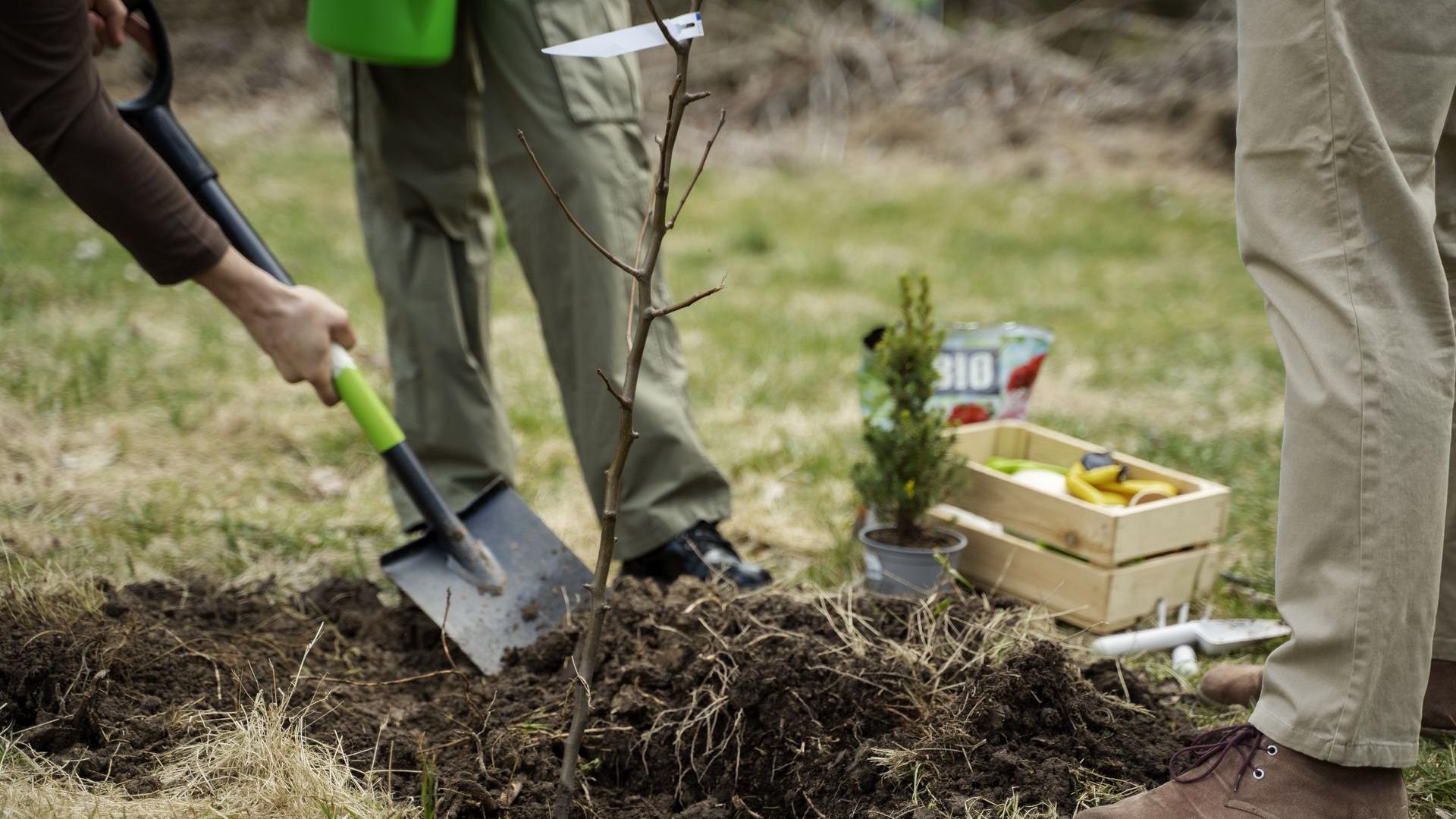 Foto 2 Fotografía 2